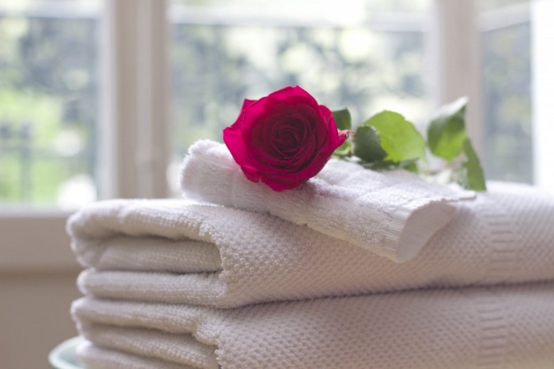 chambre-hote-BARGEMON-min_towel_rose_clean_care_salon_spa_white_bath-731641